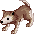 Baby Desert Wolf